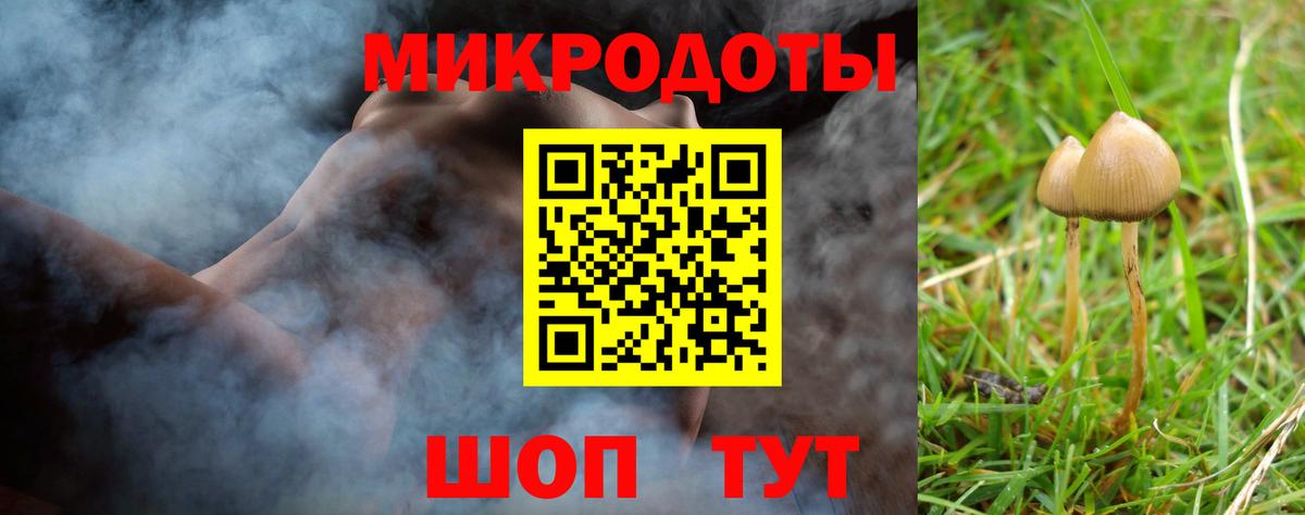 Псилоцибиновые грибы Cubensis Коркино